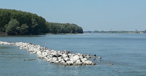 Nadzor i ekološki monitoring nad hidrotehničkim radovima i bagerovanjem na kritičnim sektorima na Dunavu